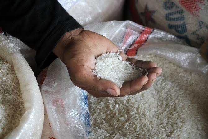 Perkembangan Harga Produsen Gabah dan Beras Provinsi Lampung Juni 2022